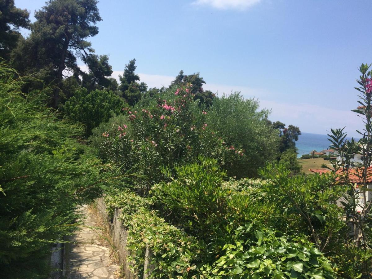 Villa Elani Kassandria Bagian luar foto